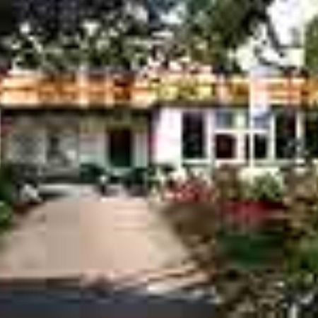 Pension Puschmann Кемниц Екстериор снимка