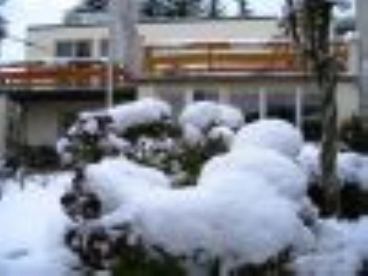 Pension Puschmann Кемниц Екстериор снимка